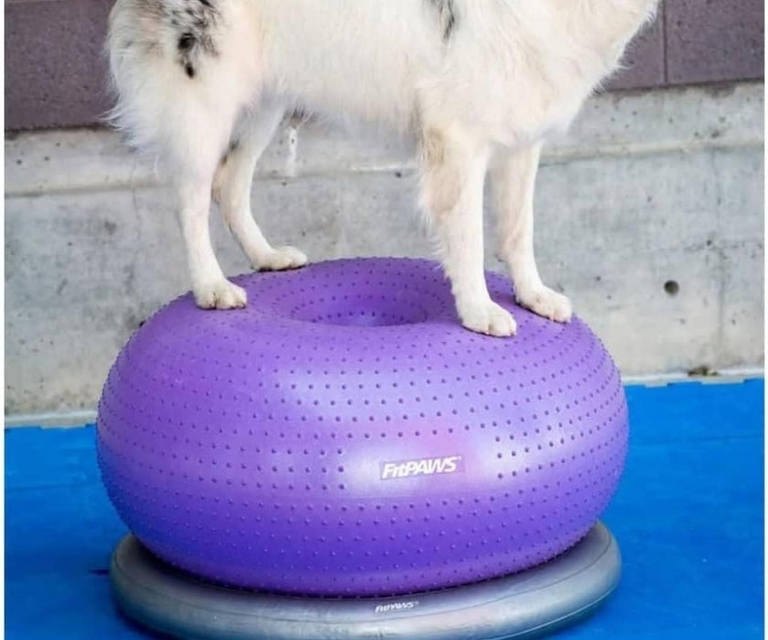 FitPaws TRAX Donut - Purple
