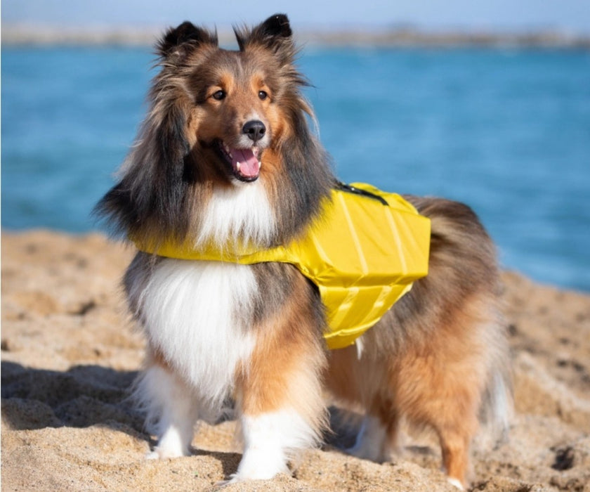 Noah & Paw Dog Life Jacket - Human Standards Life Jacket with Reinforced Rescue Handles for Comfortable & Supportive Swimming