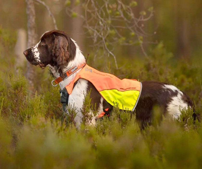 Non-Stop Dogwear Protector Vest for Dogs - Protective Chest Coverage & High Visibility for Outdoor Adventures