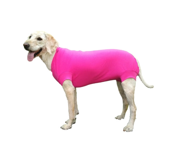 VetMedWear Recovery Suit for Dogs - Post-Surgery & Wound Protection