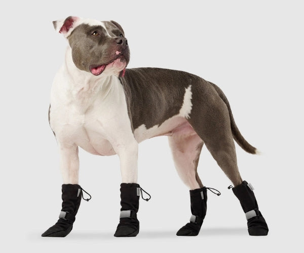 Canada Pooch Soft Shield Dog Boots - Cold Weather Boots With Rubber Grip (four boots)