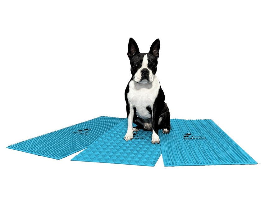 Flexiness Dog SensiMat Sensory Training Mat - Supports Grip & Balance for Rehab, Fitness & Confidence 30 x 60cm