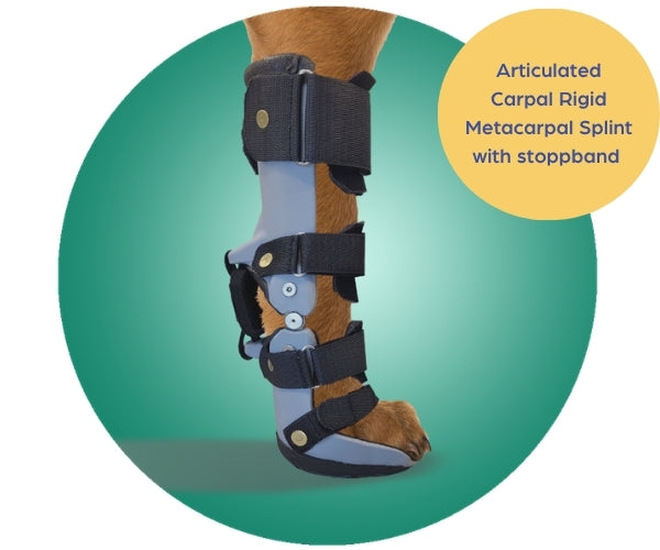 Scandi Orthopedic Dog Carpal Front Splint - Grade 4 (rigid) - Fully Customised