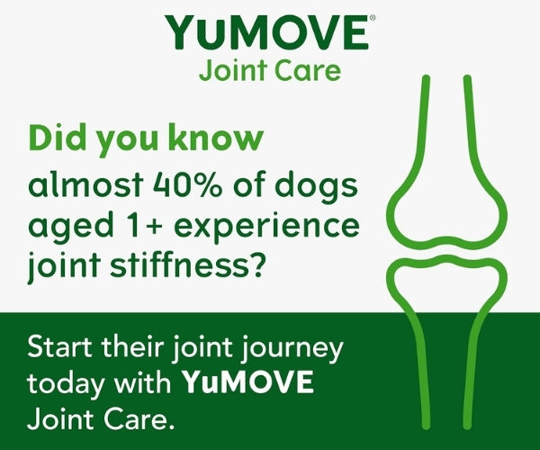 YuMOVE Joint Care for Working Dogs - Supports Mobility, Stamina & Joint Comfort 480 Tablets