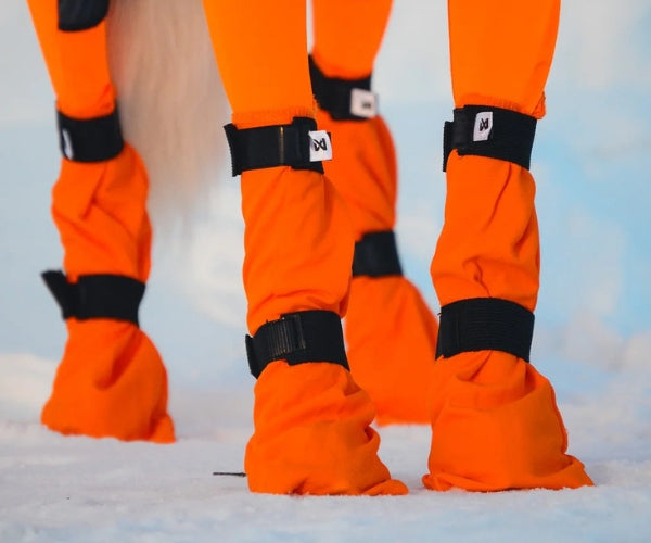 Non-Stop Dogwear Contact High Dog Boots - Protects Paws & Legs From Snow, Ice & Extreme Temperatures (four boots)