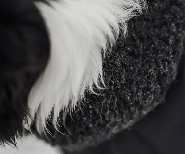 Hundlands Arctic Wool Dog Jacket - Extra Warm Merino Wool Coat to Keep Your Dog Warm In Cold Temperatures