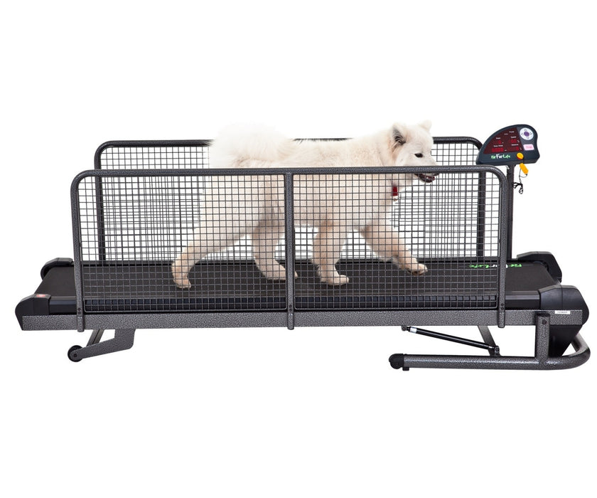 Fit Fur Life Large Superior Dog Treadmill - For Rehabilitation, Fitness & Conditioning for Dogs up to 100kg