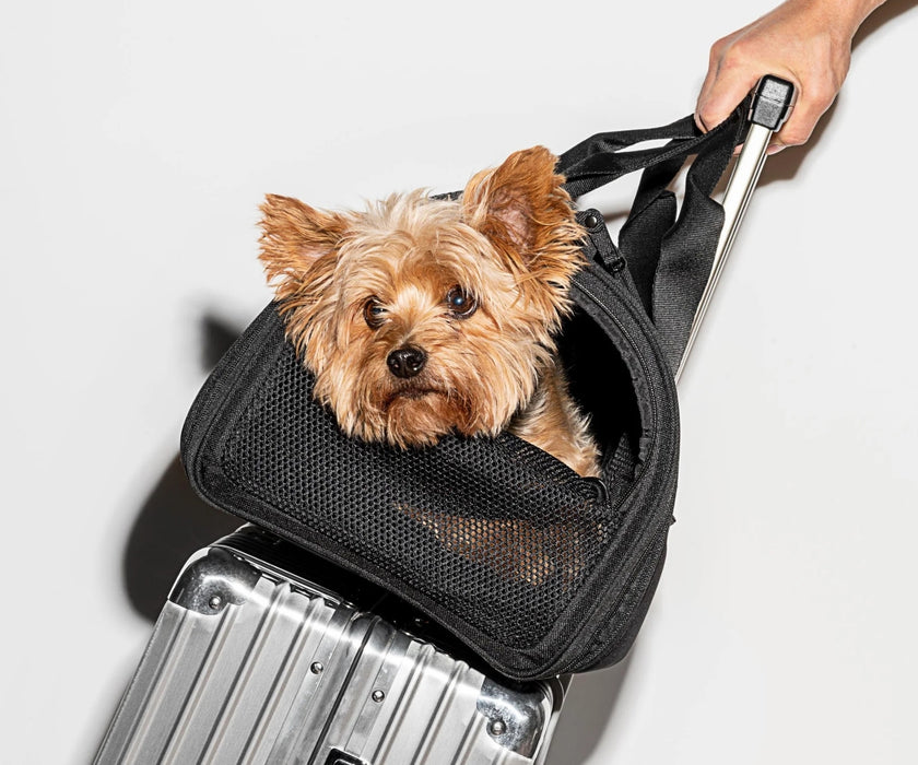 Wild One Dog Travel Carrier - Comfortable, Secure & Versatile Travel for Small Dogs (up to 7kg)