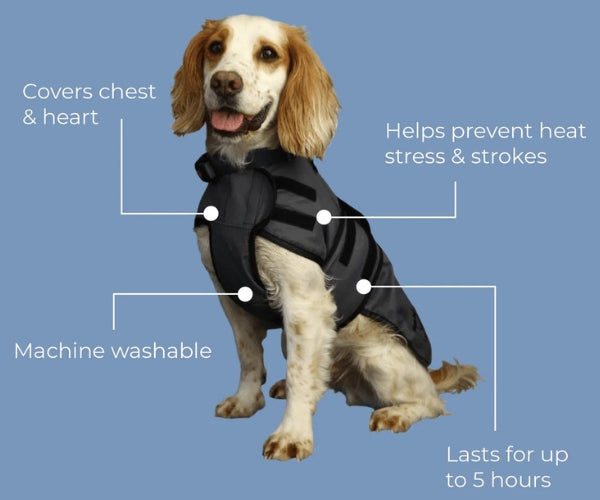 Paw Daw of London Luxury Cooling Coat for Dogs - Targeted Cooling & Sun Protection For Hot Weather