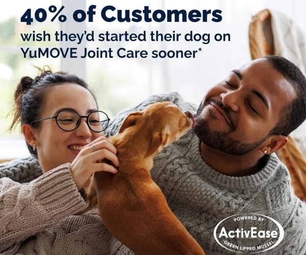 YuMOVE Joint Care Supplement for Adult Dogs - Soothes Stiff Joints 60, 120 or 300 Tablets