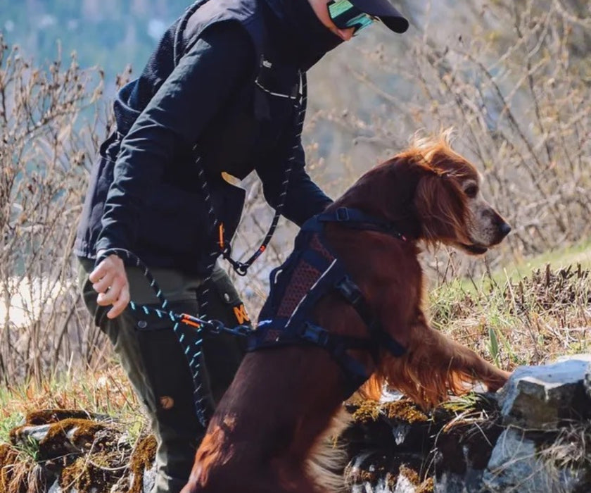 Non-Stop Dogwear Rock Adjustable Dog Lead - Versatile Hands-Free Lead for Comfortable Walks