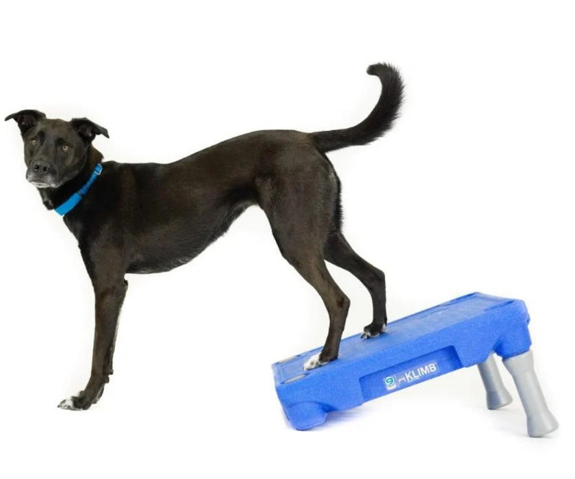 Blue-9 Dog Klimb Training Platform - Non-Slip Elevated Platform for Rehabilitation & Strength Building (61cm L x 61cm W x 31cm H)