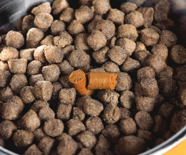 The Golden Paste Co. Turmeric Golden Paste for Dogs - Helps Ease Inflammation 100g