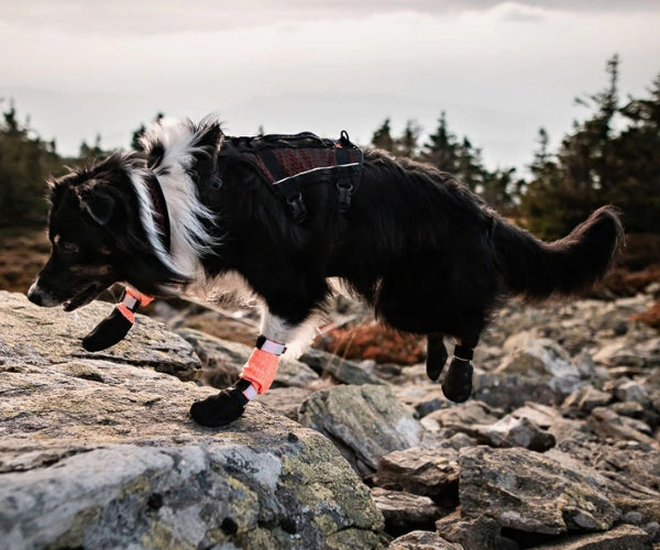 Non-Stop Dogwear High Protector Dog Boots - Heavy Duty Paw Protection for Sharp Surfaces (four boots)