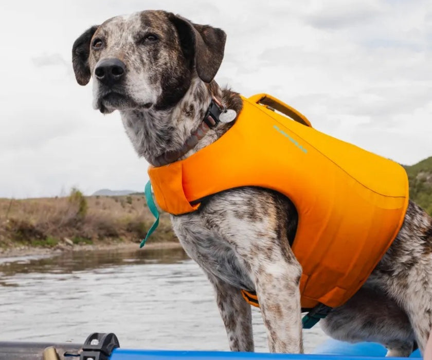 Ruffwear Float Coat Life Jacket for Dogs - Premium Buoyancy Aid for Safe Swimming & Water Adventures