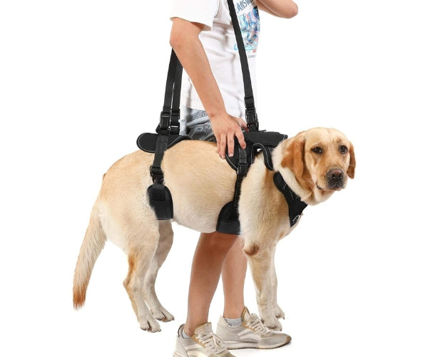 Zoomadog Full Body Lifting Harness for Dogs - Lift & Support Your Dog Safely As They Age or Recover From Injury