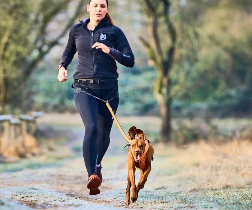 Non-Stop Dogwear CaniX Belt 2.0 - Hands-Free Support & Freedom of Movement for You & Your Dog