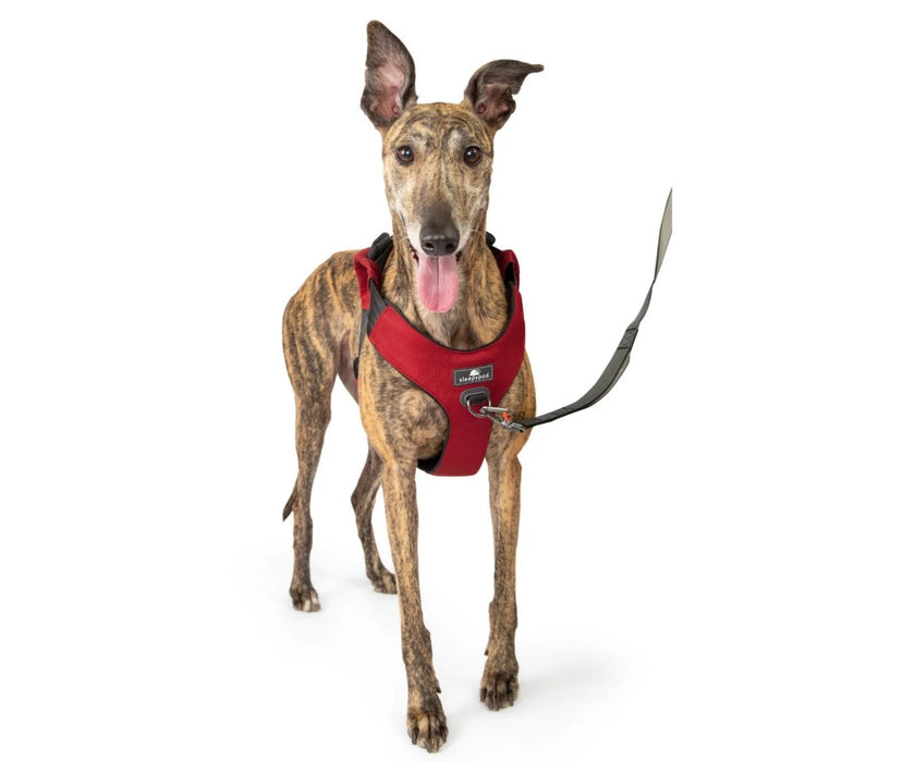 Sleepypod ClickIt Range Dog Car Safety Harness - Easy Lifting & Secure Travel for Your Dog