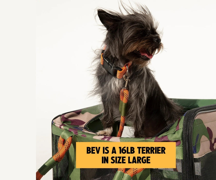 Roverlund Out of Office Dog Carrier - Comfortable, Secure Support for Travelling With Your Dog (up to 11kg)