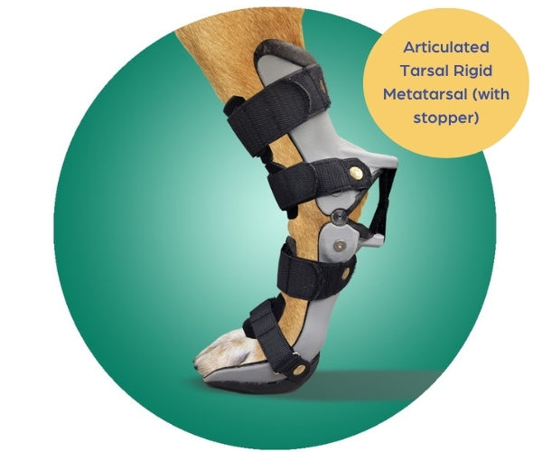 Scandi Orthopedic Hock and Tarsal Rear Splint Fully Customised - Grade 4 (rigid)