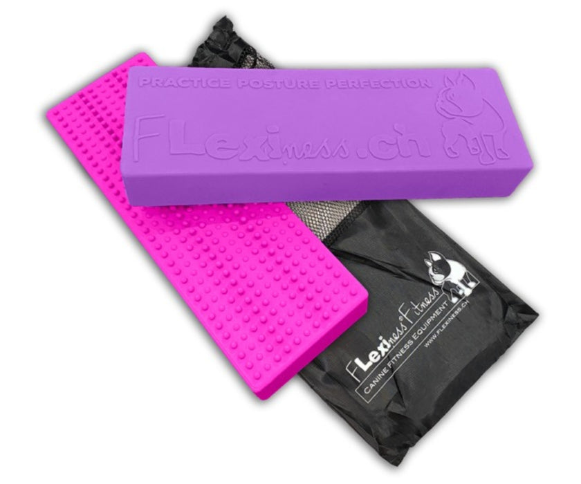 Flexiness Dog StackingBar Training Bar - Supports Precision & Paw Placement for Stability, Control & Rehab Training (1 Block, 35 × 11 × 5.5 cm)