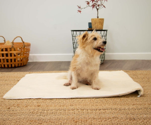 Ancol Self Heating Mat for Dogs - Reflects Your Dog's Warmth Back to Them Without Electric