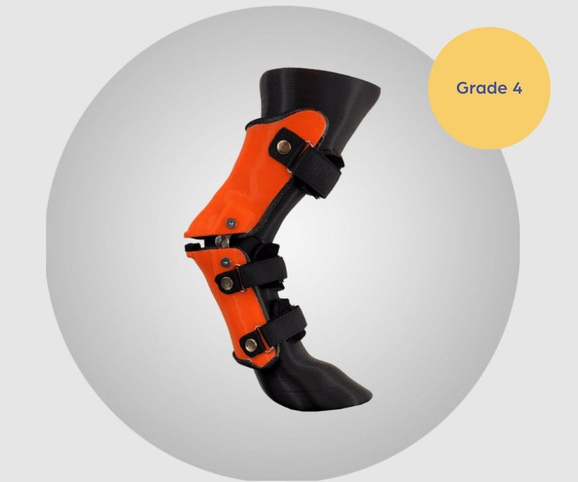 Scandi Orthopedic Hock and Tarsal Rear Splint Fully Customised - Grade 4 (rigid)