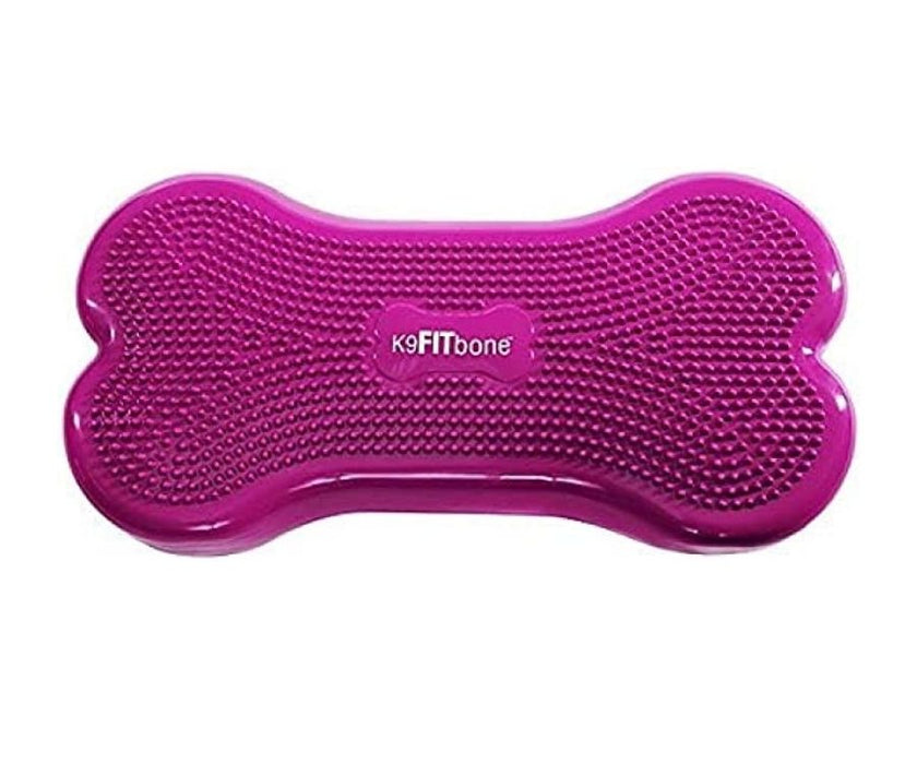 FitPaws Bone Regular - Purple, Orange, Aqua, Razzleberry, Sky Blue or Green