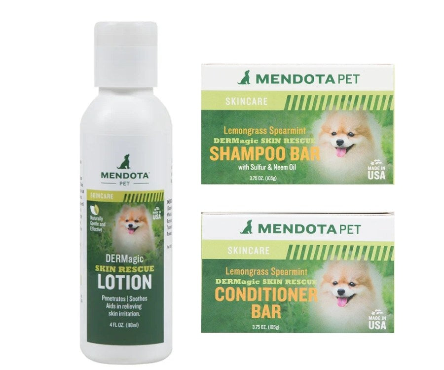 Cushing's Disease in Dogs - Causes, Prevention and How to Help