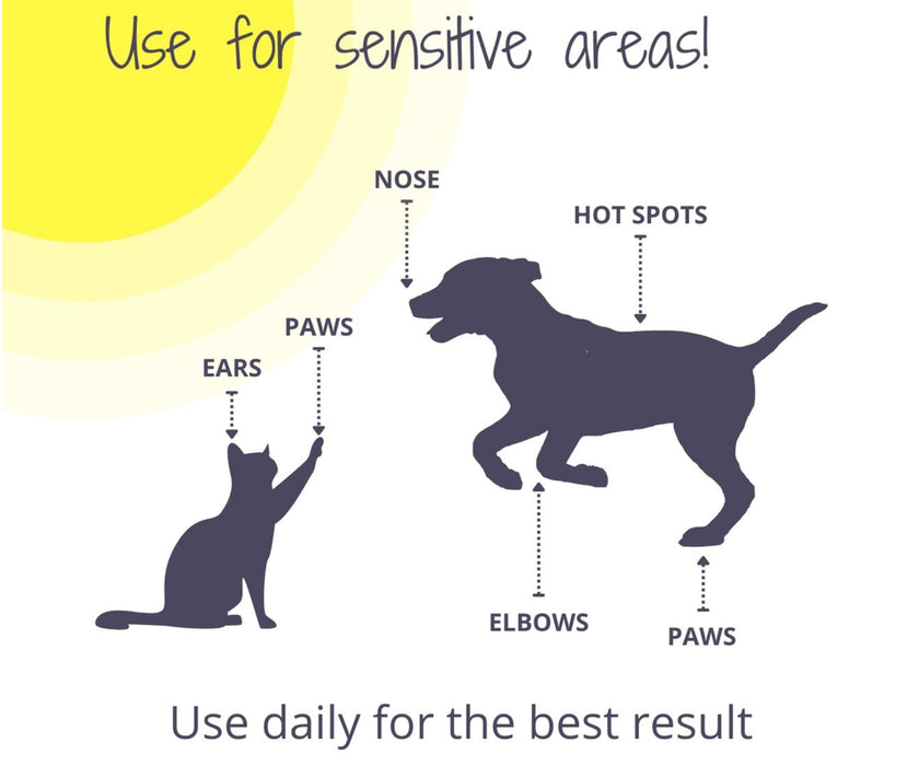 Noseprint Dog Sunscreen SPF 50 Balm - Vet-Approved High Protection Balm with Shea Butter & Hemp Seed Oil 30ml