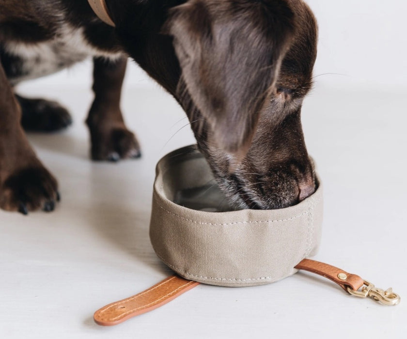 Foldable Waxed Canvas Dog Travel Bowl by Melo - Easily Roll Down with Carabiner Clip for Walks & Travel