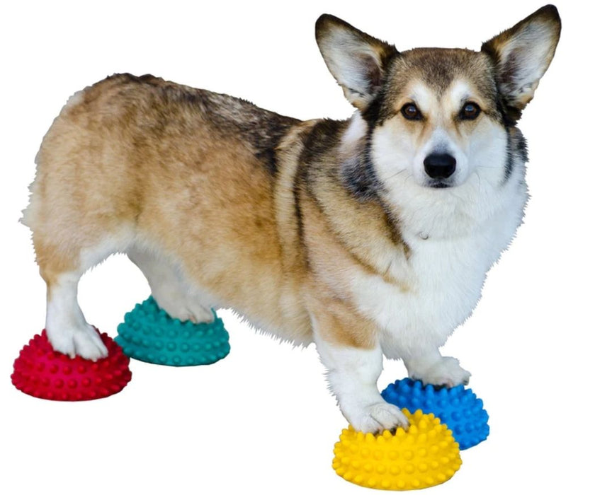 FitPaws Paw Pods Anti-Skid Bottom (set of 4)