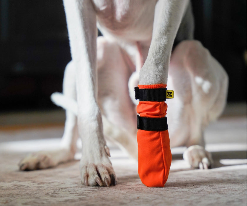 Non-Stop Dogwear Contact High Dog Boots - Protects Paws & Legs From Snow, Ice & Extreme Temperatures (four boots)