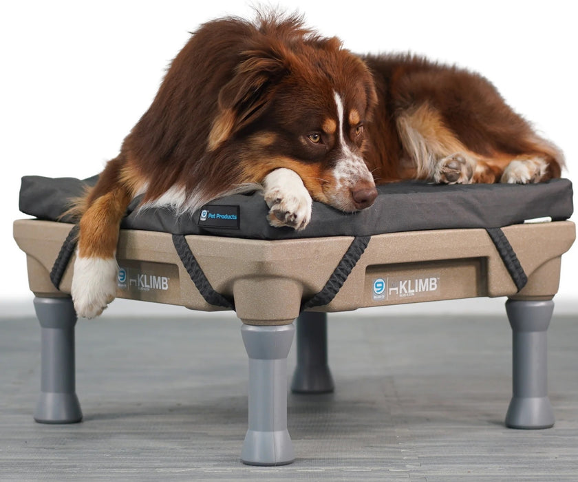 Blue-9 Restore Dog Bed - Supportive Cushioning for Joints, Rest & Recovery