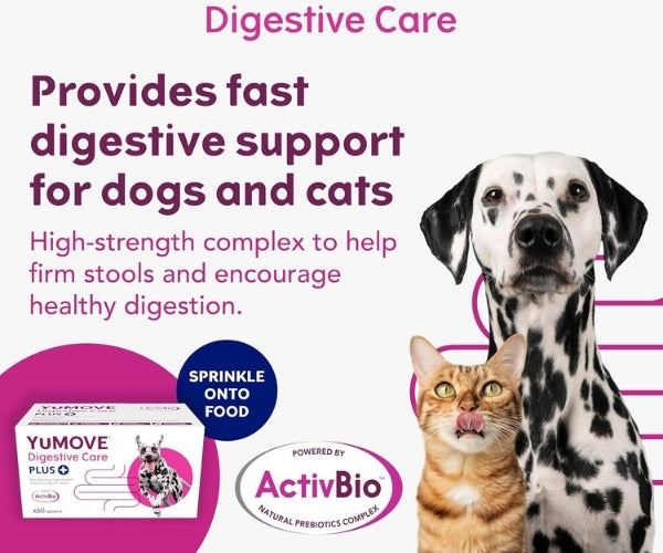 YuMOVE Digestive Care Plus Probiotic Powder for Dogs - Fast Acting Digestive Relief 6 or 60 Sachets