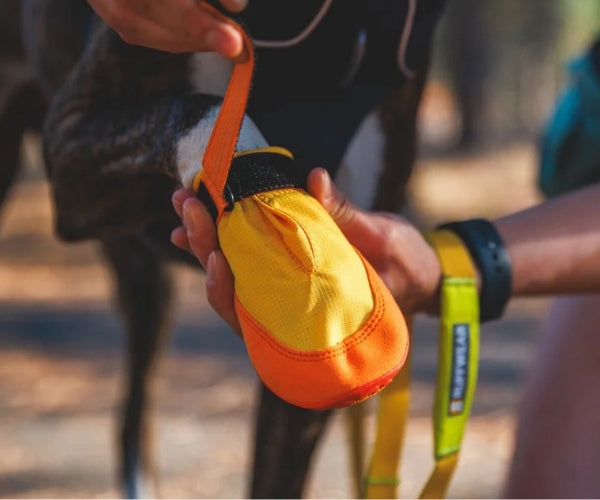 Ruffwear Summit Trex Dog Boots - Durable Paw Protection for All Seasons (two boots)