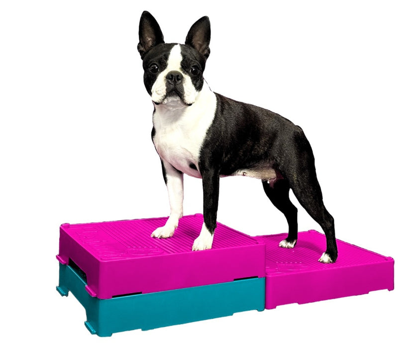 Flexiness Dog FlexBlox Modular Training Blocks - Supports Balance & Strength for Rehab, Fitness & Coordination Training (1 Block: 31 × 31 × 6cm)