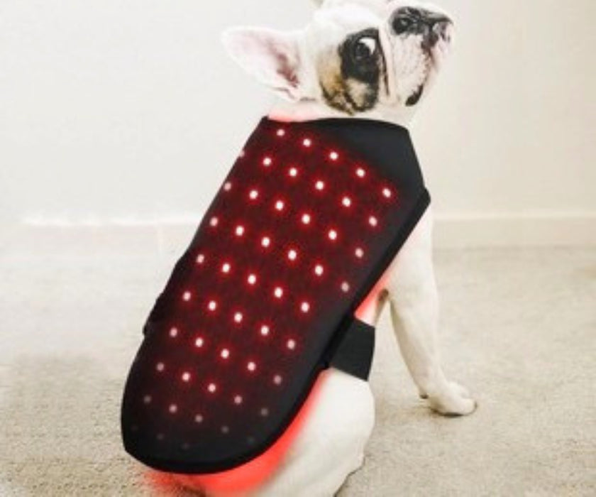 LumiPet Dog LED Therapy Wraps - Non-Invasive Light Therapy for Healing, Injury Recovery & Pain Relief