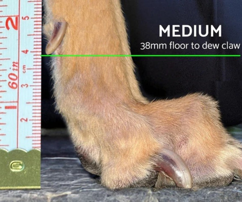 Hunnyboots - Set of Two Greyhound Boots V4 (a pair)