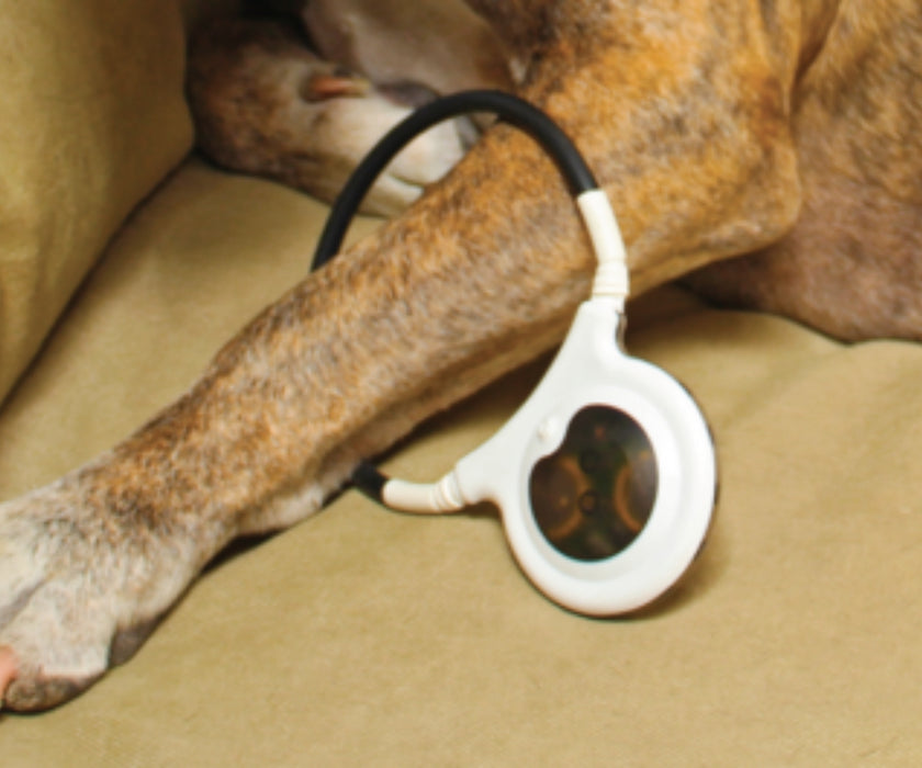 Assisi LOOP - Reduces Your Dog's Pain and Inflammation with Targeted Pulsed Electromagnetic Field Therapy (tPEMF)