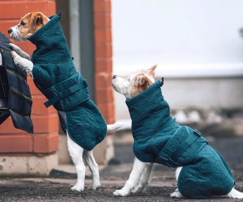 Non-Stop Dogwear Dog Drying Coat - Quickly Dries Wet Fur & Keeps Your Dog Warm