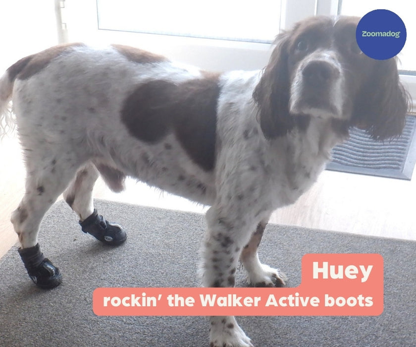 Walker Active Dog Boots (two boots)