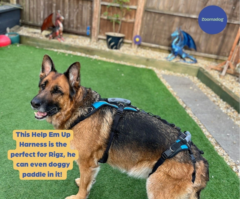 Help Em Up Harness - The Complete Dog Lifting Harness