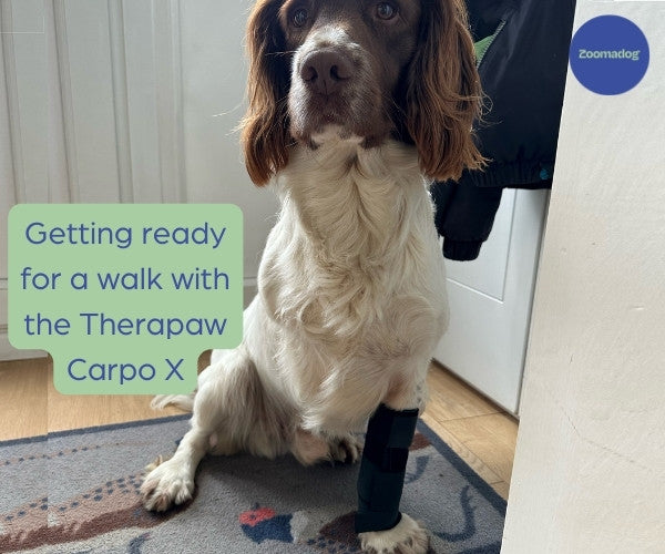 Therapaw Carpo Flex X Wrap for Dogs (firm)
