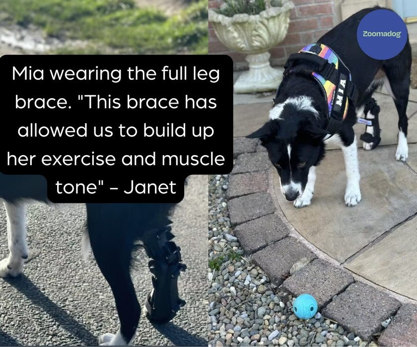 Walkin' Full Adjustable Dog Splint - Front or Back Leg (firm)