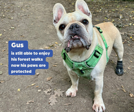 Walker Active Dog Boots two boots ZOOMADOG