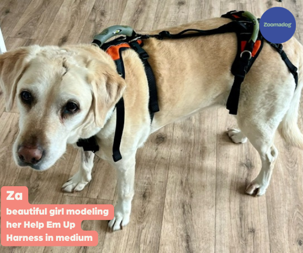 Help Em Up Harness The Complete Dog Lifting Harness