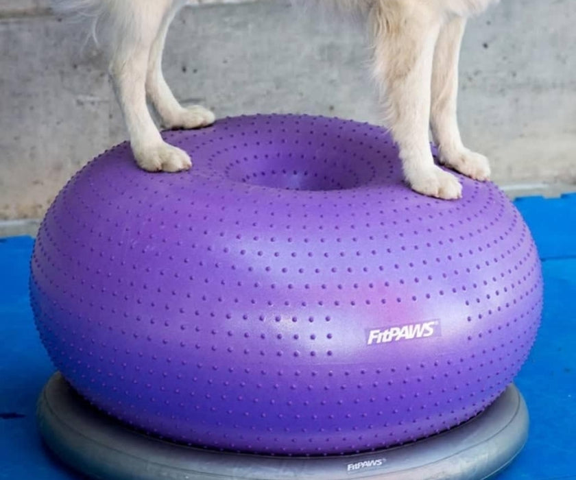 FitPaws TRAX Donut - Purple