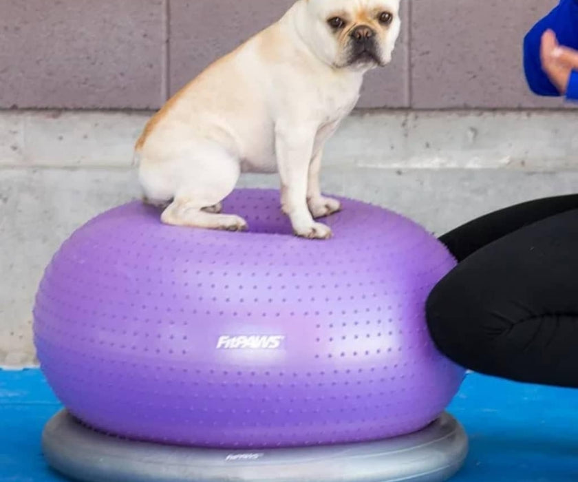 FitPaws TRAX Donut - Purple