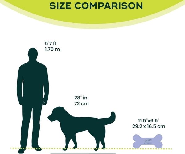 FitPaws Bone Mini (Set of 2) - Razzleberry, Blue or Mango